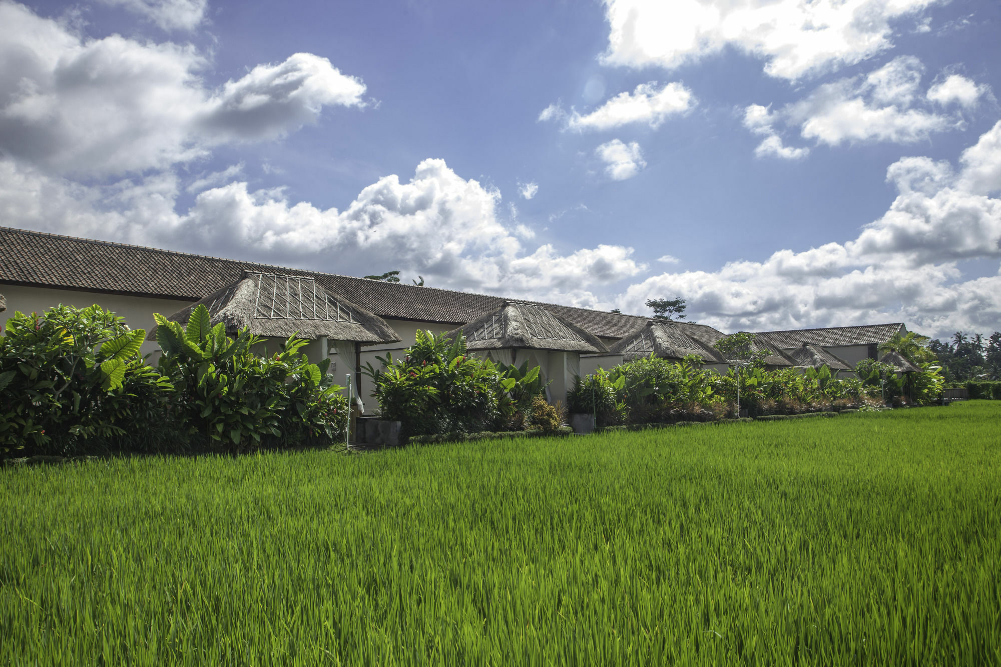 Alam Sembuwuk 4* Ubud